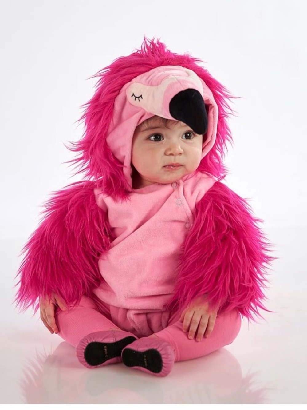 Pottery Barn Kids Baby Flamingo Costume